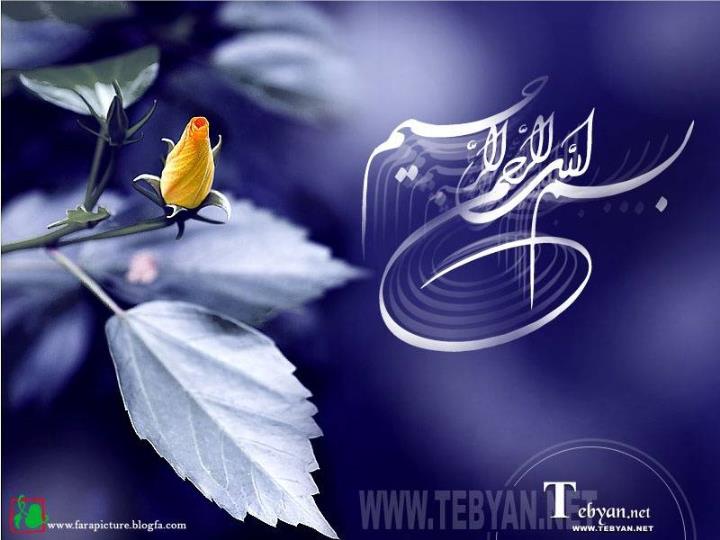 دانلود ppt فصل هفتم   مدلهای قیمت گذاری دارایی ها (تئوری بازار سرمایه)