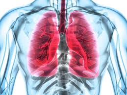 دانلود پاورپوینت آشنایی با بیماری آسم و راه های پیشگیری و کنترل این بیماری