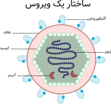 اسلاید آموزشی با عنوان ویروس