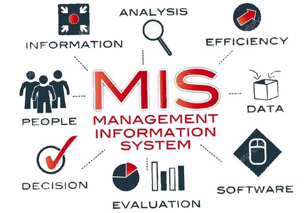 دانلود MIS (سیستمهای اطلاعات مدیریت)